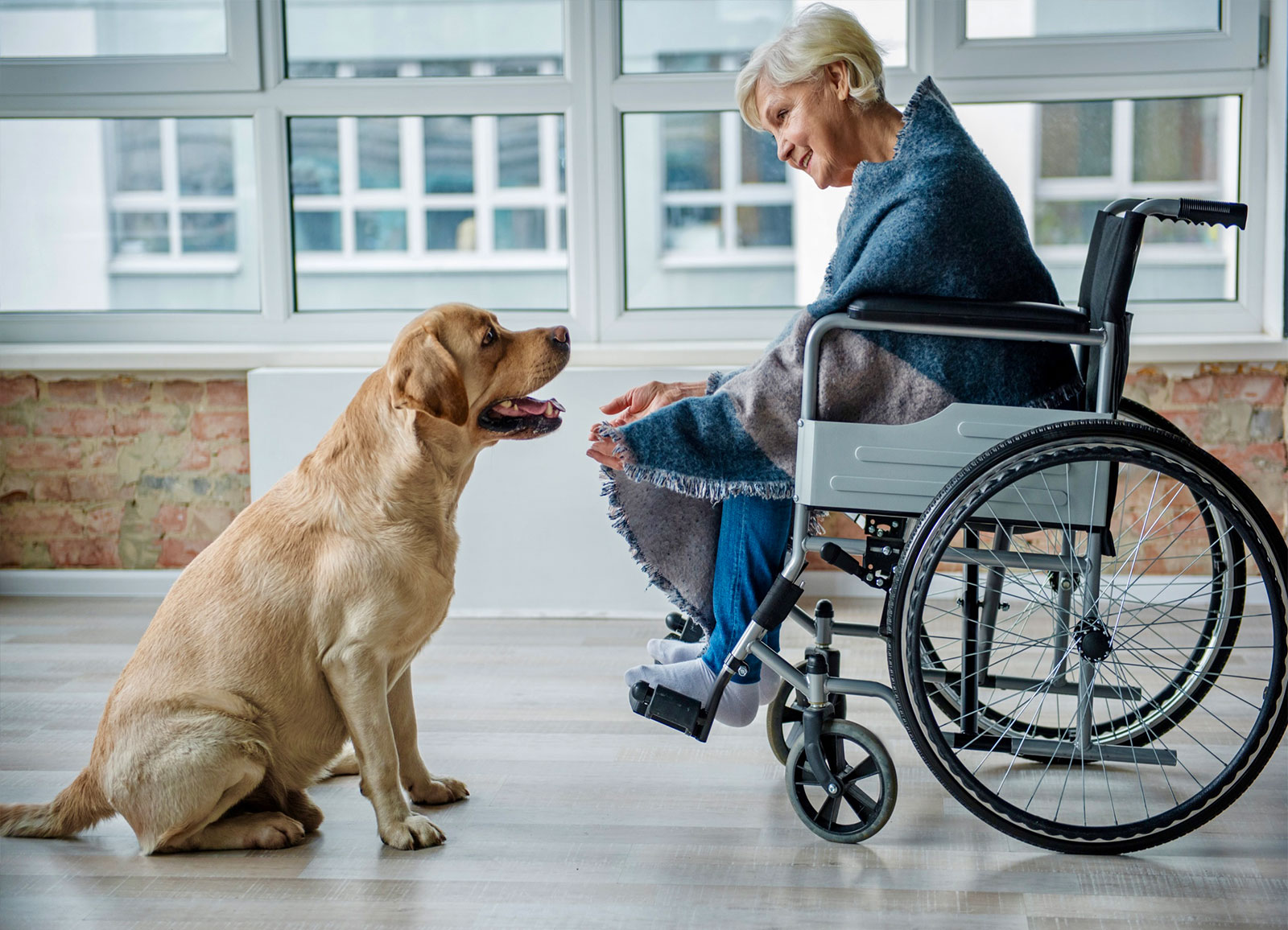 Service Dogs: Pets for Mental and Physical Health