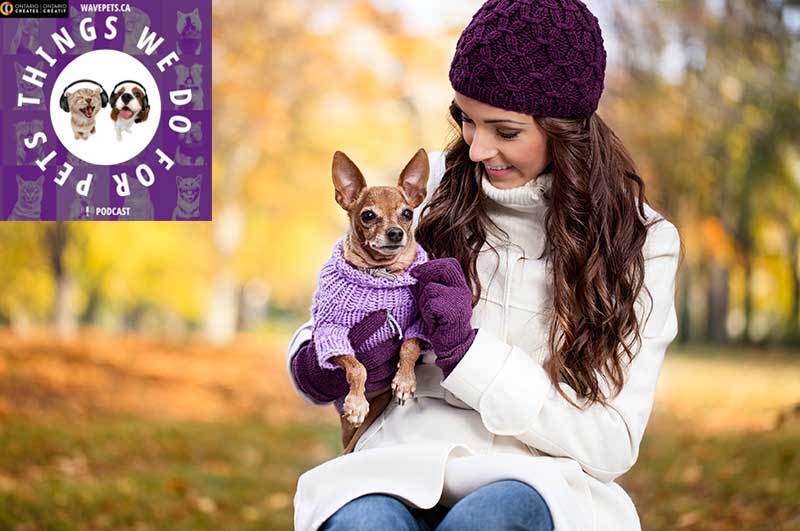 Pet-friendly Holidays – Have Dog, Will Travel