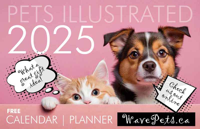 Get your FREE 2025 Calendar Planner