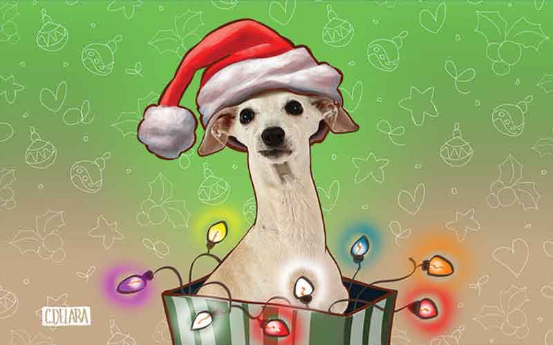 December: Pop-Up Puppy – A Pet Tale