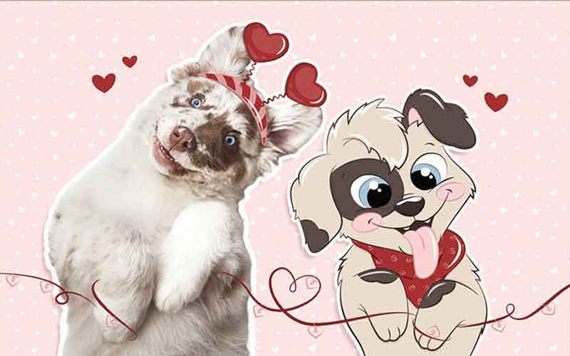 February: I Heart You – A Pet Tale