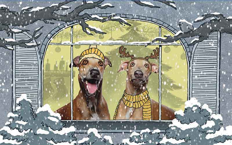 January: The Coziest Month – A Pet Tale
