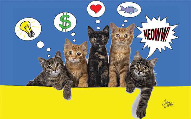 Gimme Five! – A Pet Tale