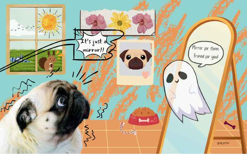 October: The Friendly Ghost – A Pet Tale